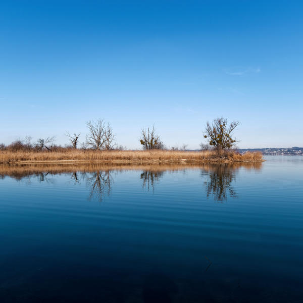 Bodensee