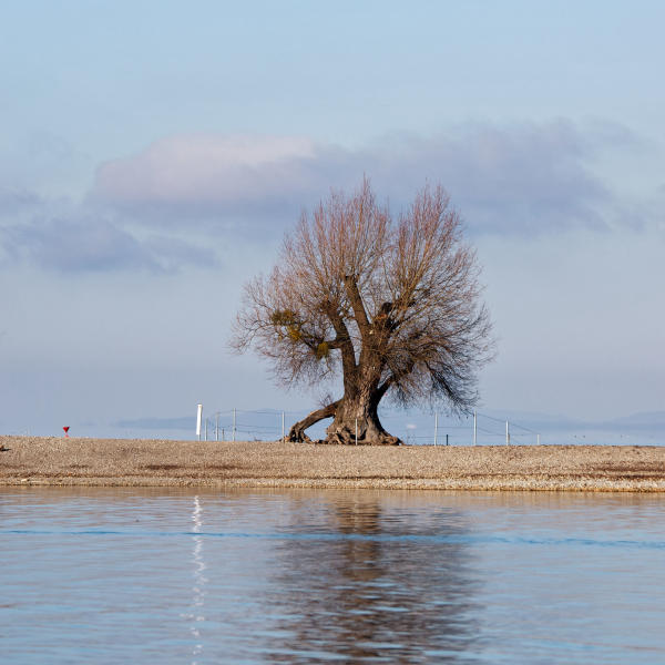 Bodensee