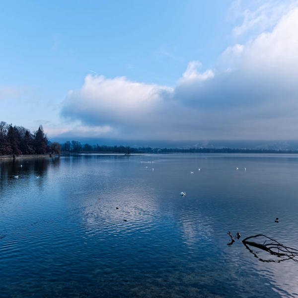 Bodensee