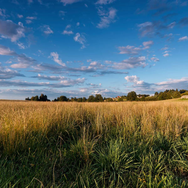 Landschaft