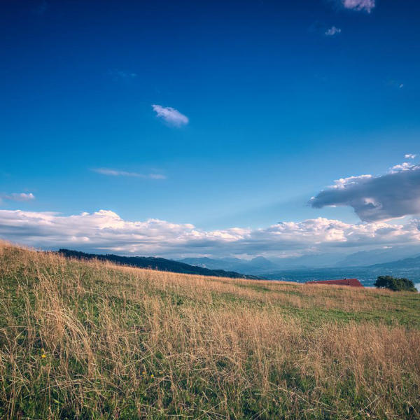 Landschaft