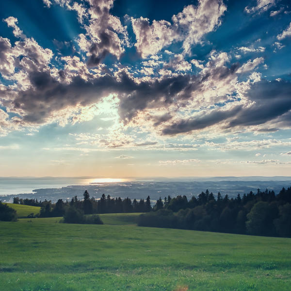 Landschaft
