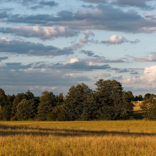Landschaft