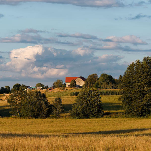 Landschaft