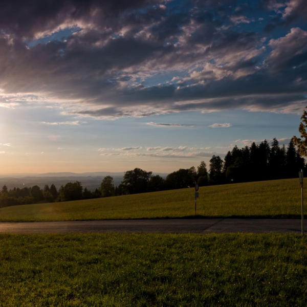 Landschaft